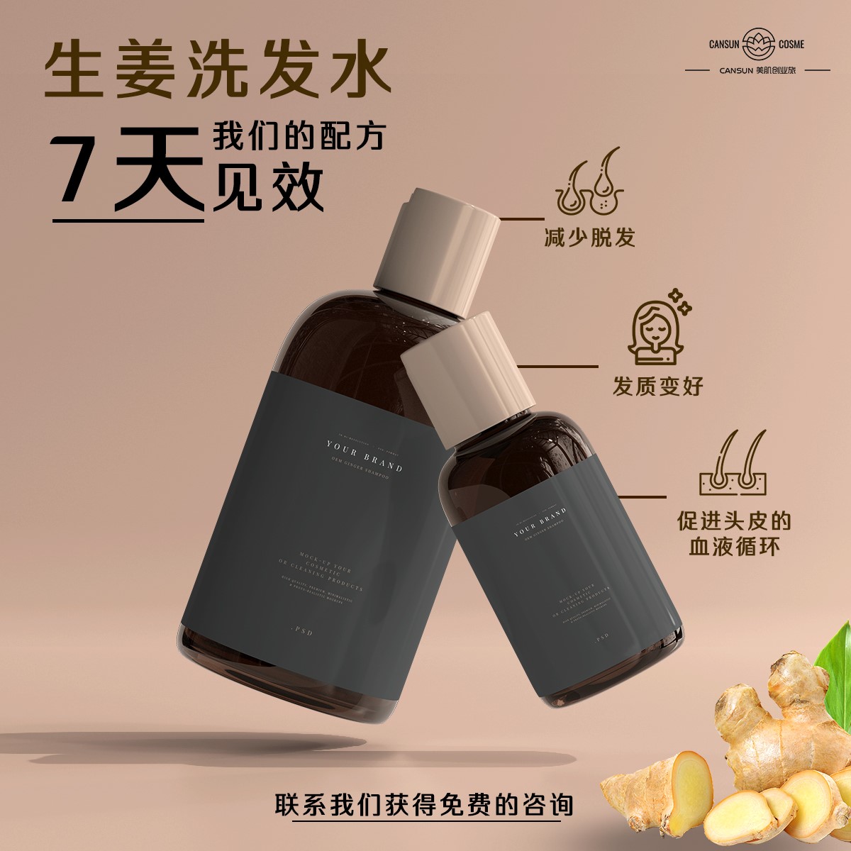 241257221_403344764842612_3689832658864497154_n-hd